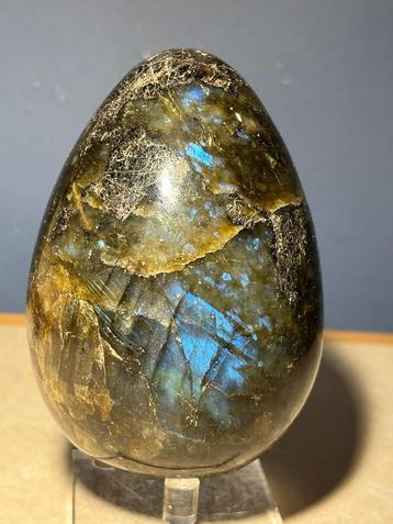 Groot labradoriet ei beschikbaar voor biedingen