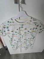 Shirt, Kinderen en Baby's, Kinderkleding | Maat 146, Ophalen of Verzenden, Gebruikt, Meisje, Shirt of Longsleeve