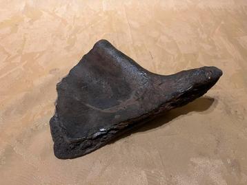 Stuk van schouderblad beschikbaar voor biedingen