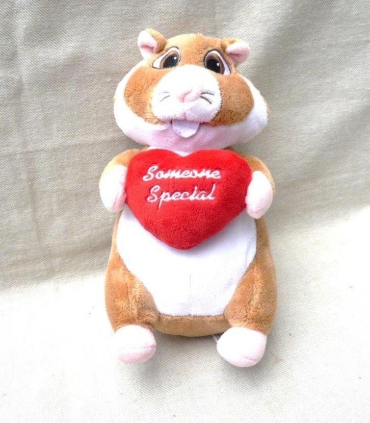 Albert Heijn hamster someone special. 20 cm., Kinderen en Baby's, Speelgoed | Knuffels en Pluche, Zo goed als nieuw, Overige typen