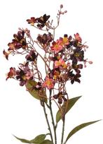 CLAYRE & EEF - KUNST - BLOEMETJES TAK, Ophalen of Verzenden, Nieuw