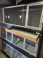 Broedkooien, Dieren en Toebehoren, Vogels | Hokken en Kooien, Ophalen, Gebruikt, Hout, Broedkooi of Kweekkooi