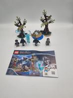 Lego Harry Potter 75945 Expecto Patronum, Kinderen en Baby's, Speelgoed | Duplo en Lego, Ophalen of Verzenden, Zo goed als nieuw