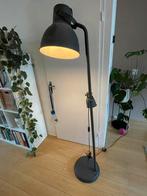 Hector, Ophalen, Zo goed als nieuw, Minder dan 100 cm