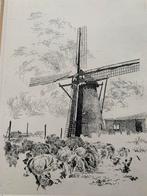 Pen tekening molen van Hapert, Ophalen of Verzenden