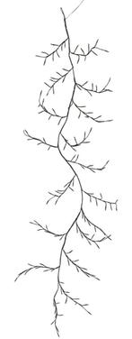 Tak slinger verlicht, Ophalen of Verzenden