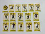 RODA JC 16 foto's van de spelers en trainer, Verzenden, Zo goed als nieuw, Roda JC, Spelerskaart