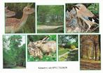 Ansichtkaart	Overloon	7-luik	Natuur, Verzamelen, Ansichtkaarten | Nederland, Verzenden, 1980 tot heden, Gelopen, Noord-Brabant
