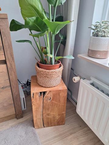 Klein tafeltje vierkant hout. beschikbaar voor biedingen