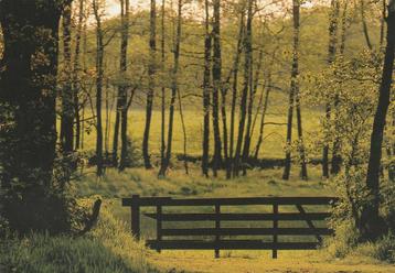 SCHIPBORG Foto Martin Kers 1998  beschikbaar voor biedingen