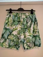 Billionaire zwemshort maat xl, Kleding | Heren, Ophalen of Verzenden, Maat 56/58 (XL), Groen, Zwemshort