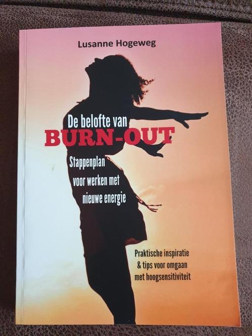 De belofte van burnout - Lusanne Hogeweg, Boeken, Psychologie, Zo goed als nieuw, Ophalen of Verzenden