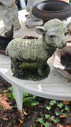 Schaapje. Kunststof. 21 cm. Ophalen in assen., Tuin en Terras, Ophalen, Gebruikt, Kunststof