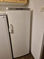 Siemens groot model koelkast (155 cm), Ophalen, 200 liter of meer, 140 tot 160 cm, 45 tot 60 cm