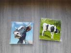 2 x tegel lijstje opdruk koe,  nieuw, Overige materialen, Minder dan 50 cm, Nieuw, Ophalen of Verzenden