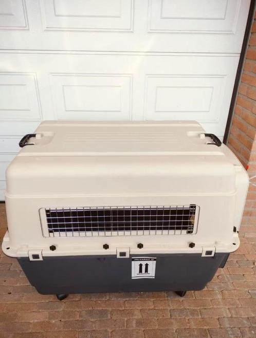 Honden transport bench XL IATA, Dieren en Toebehoren, Hondenbenches, Zo goed als nieuw, Ophalen