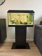 Juwel Aqarium Primo 60, Ophalen, Zo goed als nieuw, Leeg aquarium