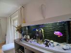 Aquarium zgn met vissen, Ophalen, Zo goed als nieuw