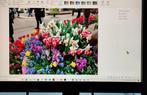 EIZO monitor Flexscan S2243W, Computers en Software, Monitoren, Ophalen, IPS, Full HD, Zo goed als nieuw