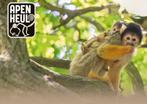 2 Toegangskaarten voor de Apenheul twv 58,-, Tickets en Kaartjes, Twee personen
