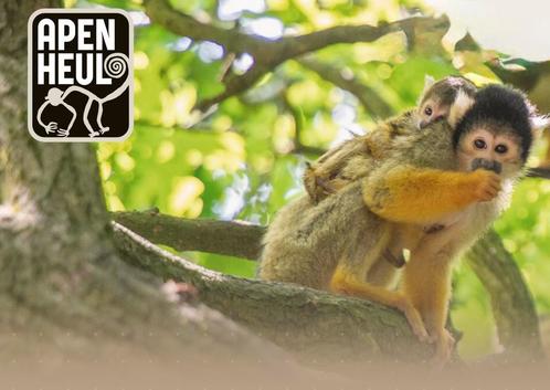 2 Toegangskaarten voor de Apenheul twv 58,-, Tickets en Kaartjes, Recreatie | Dierentuinen, Twee personen