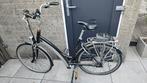 Trek & Batavus E-bikes (onderdelen), Fietsen en Brommers, Elektrische fietsen, Ophalen, Gebruikt, Batavus
