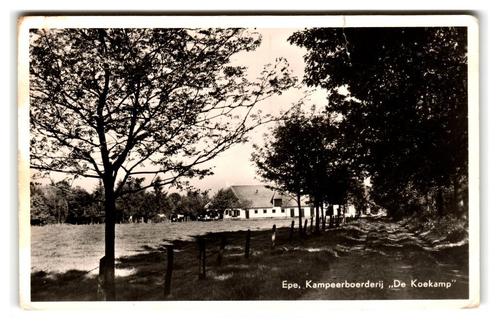 Epe, Kampeerboerderij "De Koekamp" Lees beschrijving, Verzamelen, Ansichtkaarten | Nederland, Gelopen, Gelderland, 1940 tot 1960