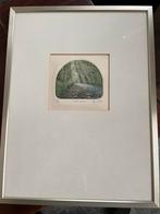 Stephen Whittle - Sunlit Stream - Genummerde Print, Antiek en Kunst, Ophalen of Verzenden