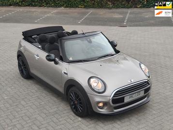 Mini Cabrio 1.5 Cooper Pepper Business NAVI NAP 100% Dealer  beschikbaar voor biedingen
