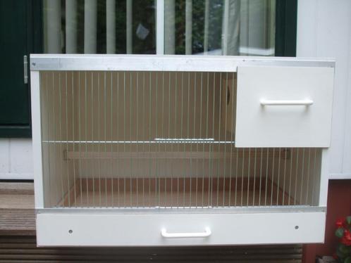 broedkooi met schuifblok, Dieren en Toebehoren, Vogels | Hokken en Kooien, Nieuw, Broedkooi of Kweekkooi, Hout, Ophalen of Verzenden