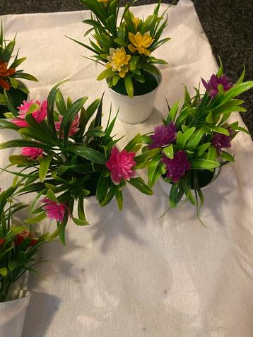 6 Kunstplantjes in Pot - Decoratief beschikbaar voor biedingen
