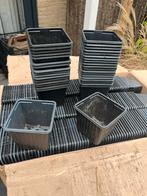 2200+ P9 Kweekpotjes / Plantenpotjes - Herbruikbaar, Ophalen, Kunststof, Gebruikt, Vierkant