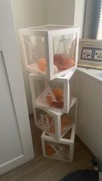 Baby etalage, Overige materialen, Minder dan 50 cm, Gebruikt, Ophalen of Verzenden