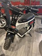 ‼️coopop rugged 48v Nieuw ‼️‼️, Overige modellen, Nieuw, Ophalen of Verzenden