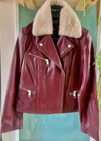 Leren damesjas Tommy  Hilfiger mt S, Overige kleuren, Nieuw, Ophalen of Verzenden, Maat 36 (S)