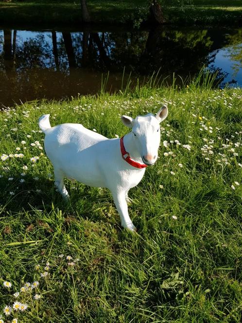 Mooie Geiten, Tuin en Terras, Tuinbeelden, Nieuw, Dierenbeeld, Kunststof, Ophalen