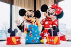 Mickey en Minnie te huur , kinderfeest, Ophalen of Verzenden, Zo goed als nieuw, Verjaardag