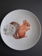 Wall deco bord van eekhoorn voor op te hangen, Ophalen of Verzenden