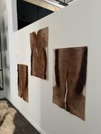 Prachtige Nieuwe Opgezette Springbok Huiden Taxidermie, Ophalen of Verzenden, Nieuw, Overige soorten, Opgezet dier