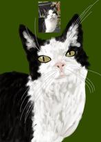 Huisider digitale tekening, Nieuw, Ophalen of Verzenden, 50 tot 75 cm, Tekening