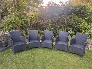 Tuinstoelen (5 stuks) wicker antraciet incl. kussens beschikbaar voor biedingen