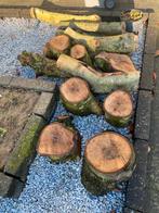 Haardhout, Minder dan 3 m³, Ophalen, Overige houtsoorten, Blokken