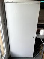 Professionele Koelkast Euronorm, Ophalen, 200 liter of meer, 60 cm of meer, 160 cm of meer