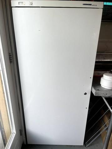 Professionele Koelkast Euronorm beschikbaar voor biedingen