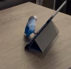 Agapornis/ dwergpapegaai, Geslacht onbekend, Dwergpapegaai of Agapornis