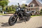 KAWASAKI ELIMINATOR 500 SE, Chopper, Bedrijf, KAWASAKI, 451 cc