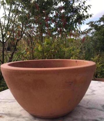 Lage bonsai pot Franse terracotta bloempot 13/23cm beschikbaar voor biedingen