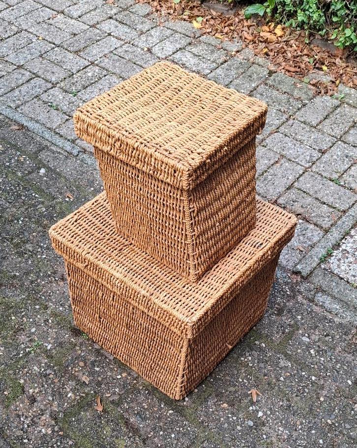 Rieten.manden, 2x, Huis en Inrichting, Woonaccessoires | Schalen en Manden, Gebruikt, Rechthoekig, Riet, Ophalen