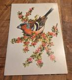 Vink, Verzenden, 1980 tot heden, Gelopen, Vogel