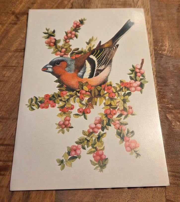Vink, Verzamelen, Ansichtkaarten | Dieren, Gelopen, 1980 tot heden, Vogel, Verzenden